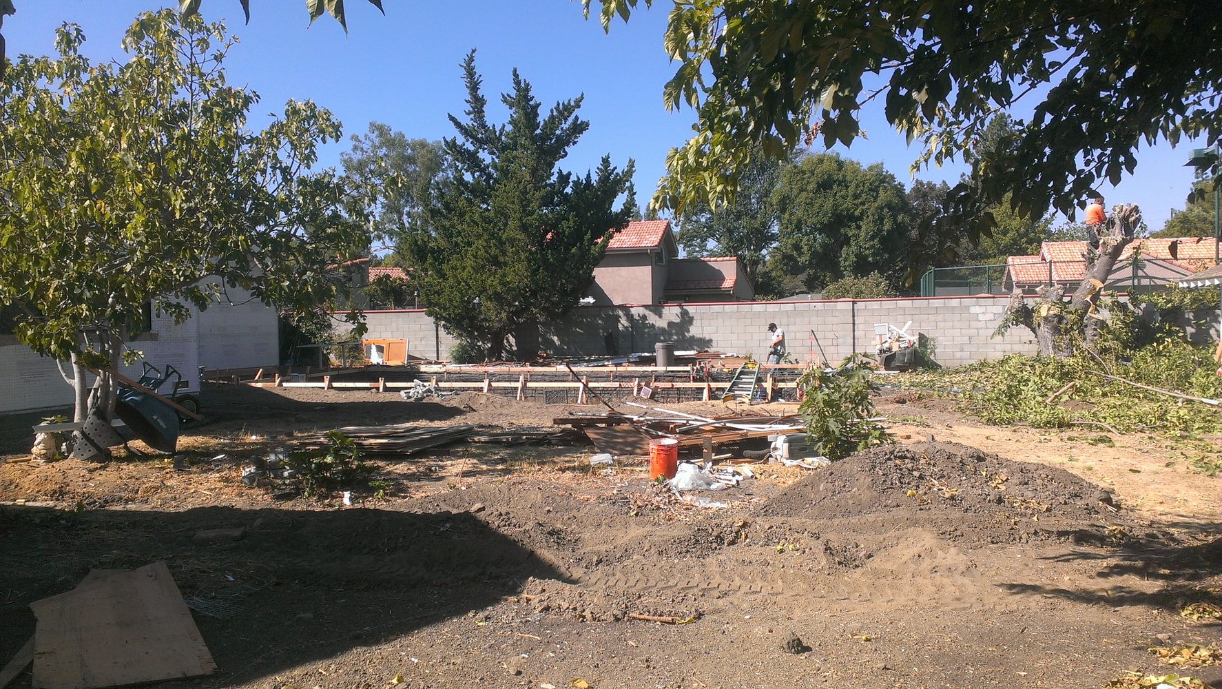 Photo(s) from Alma Gardening Co