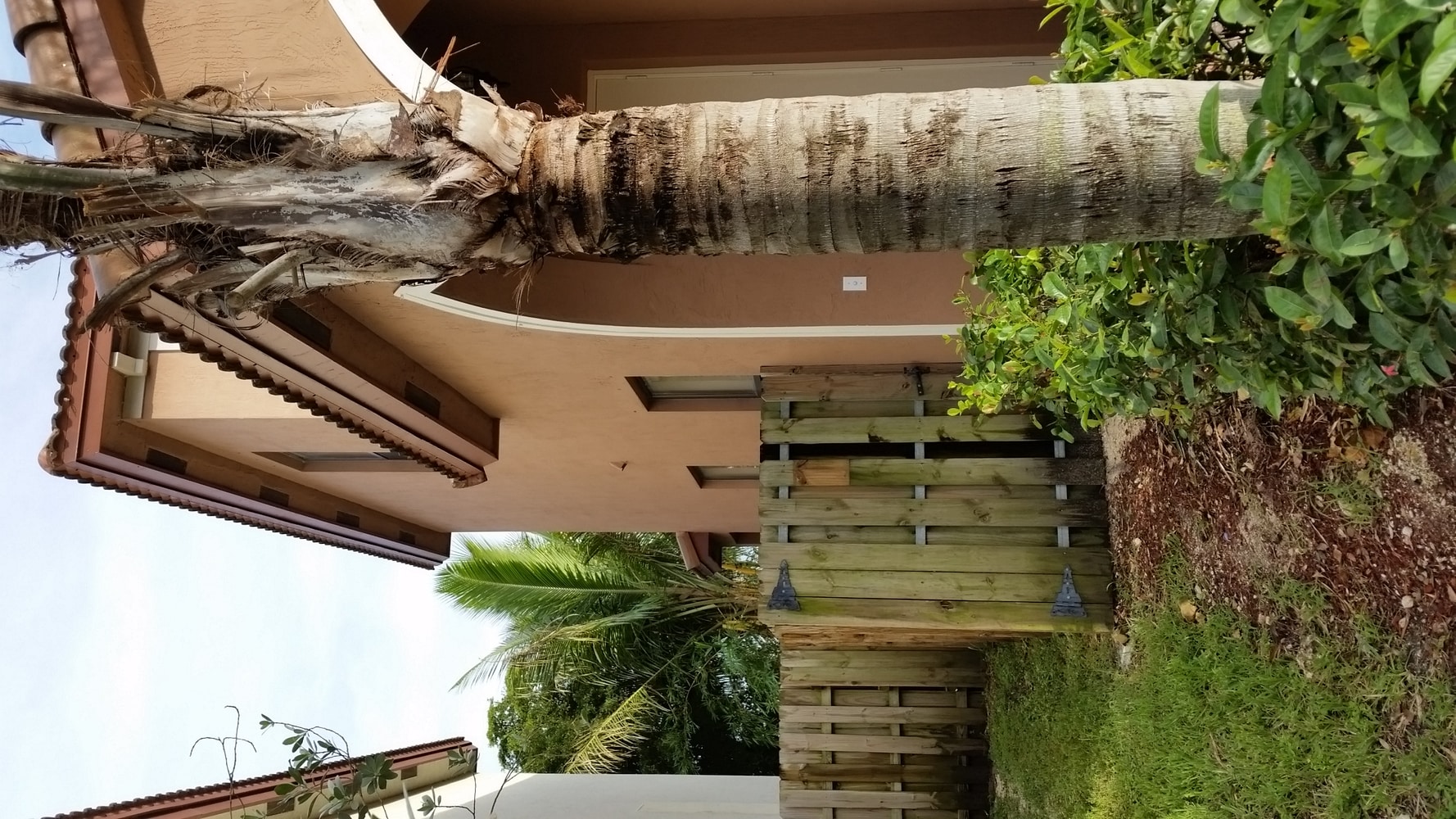 Vineyard Services' projects