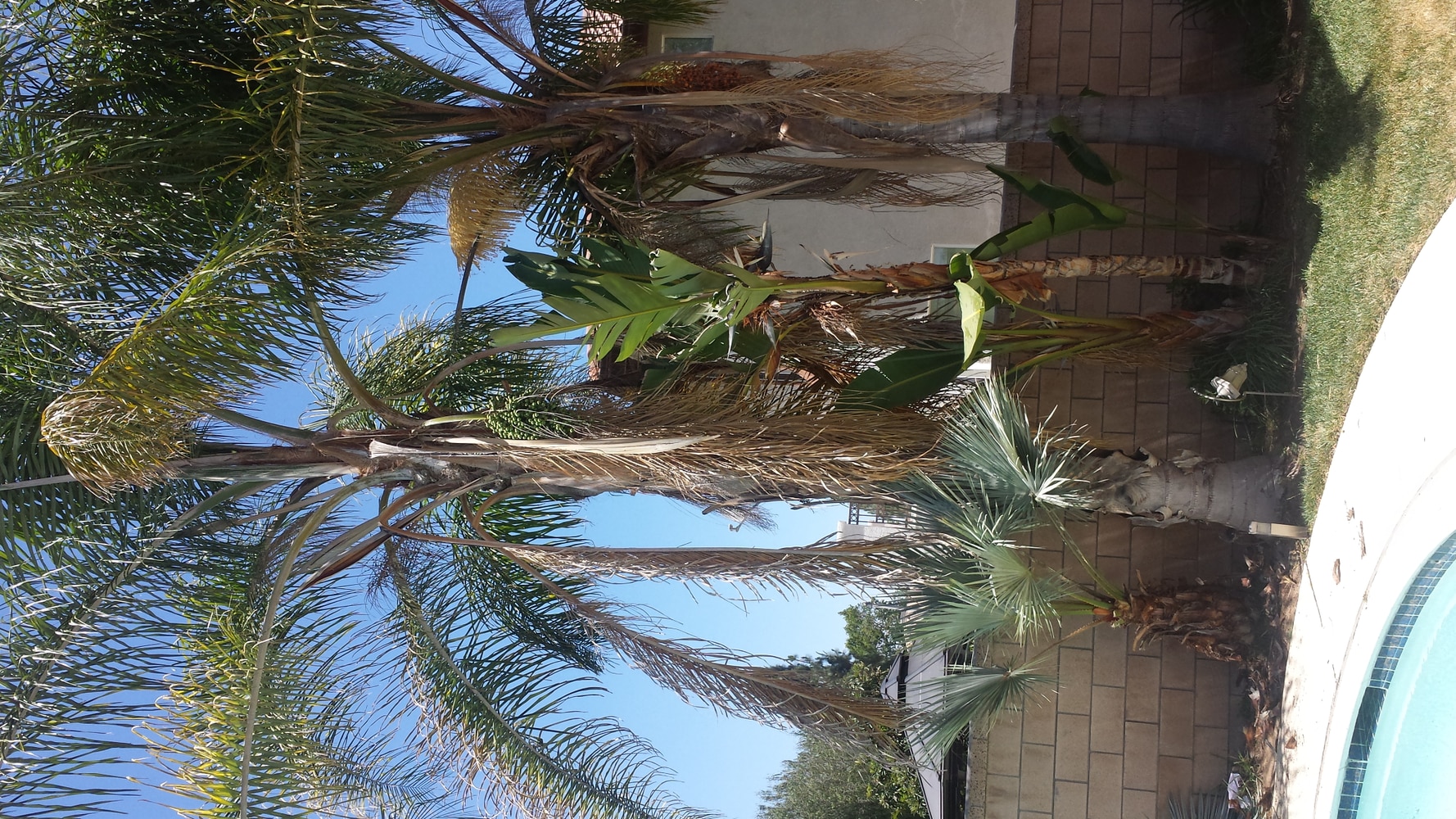 The Complete Yard Service Project