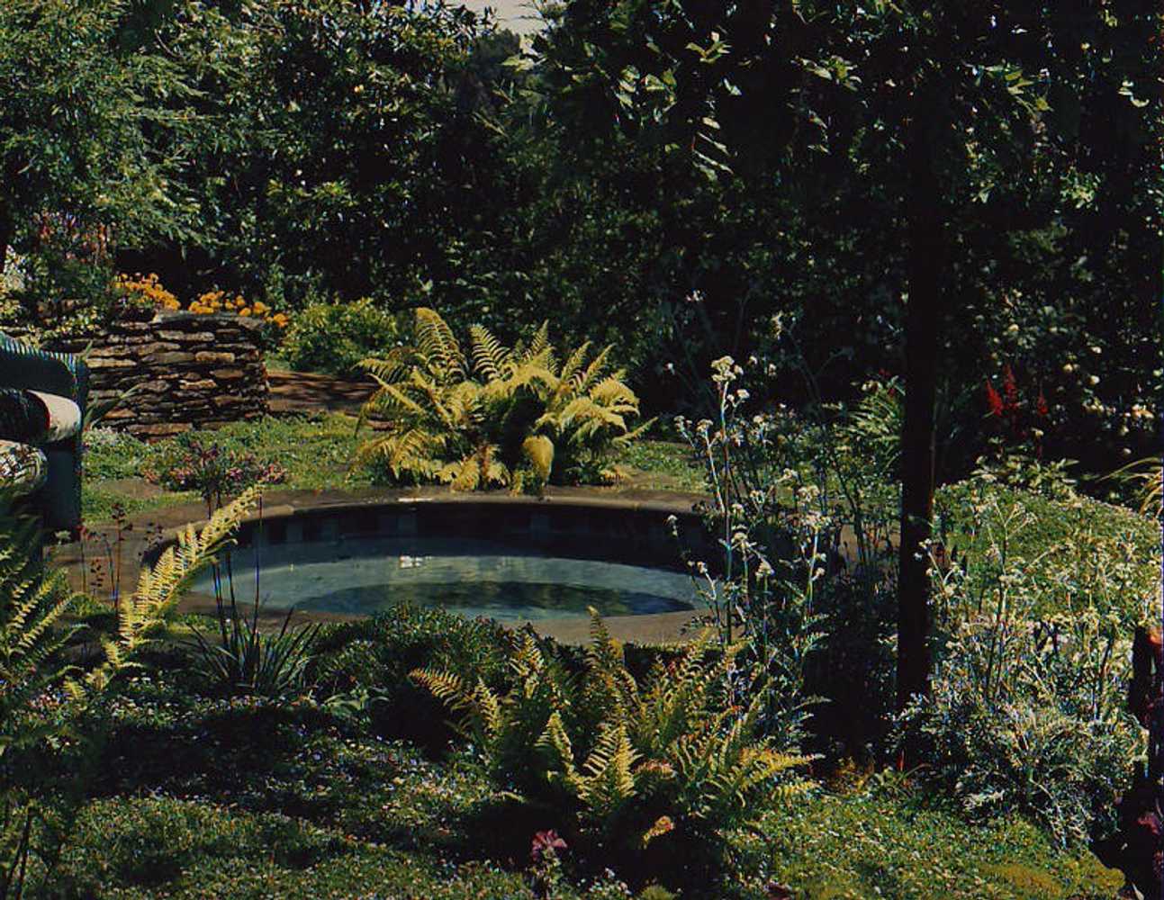 Pools, Spas, Water Features