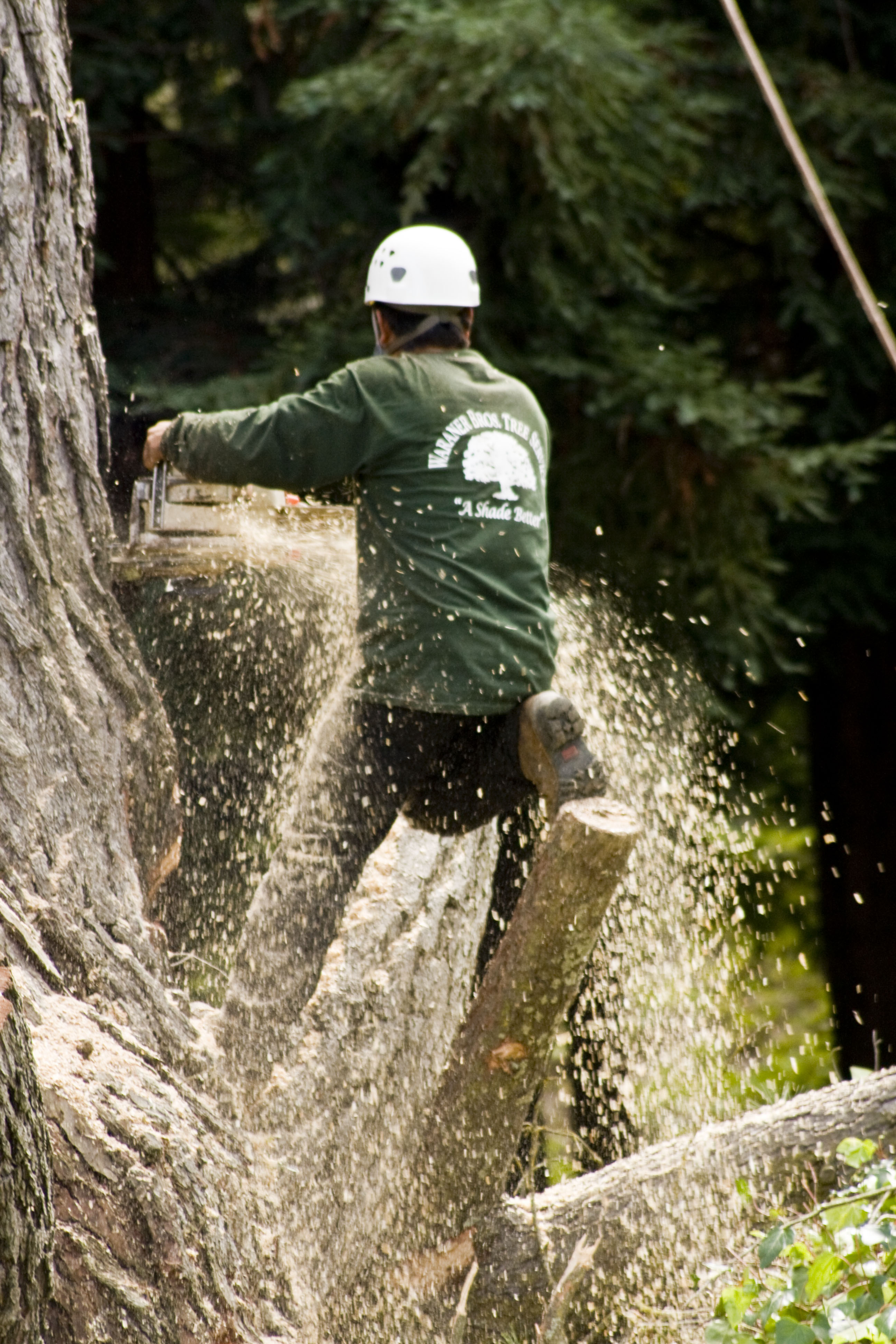 Waraner Bros Tree Service