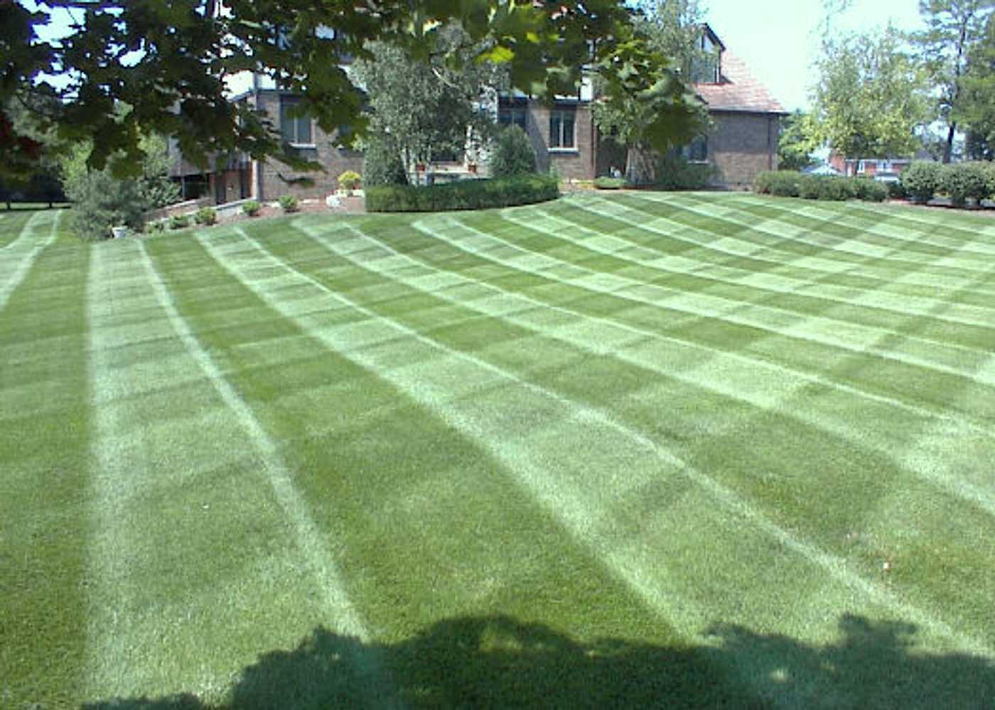 lawncare