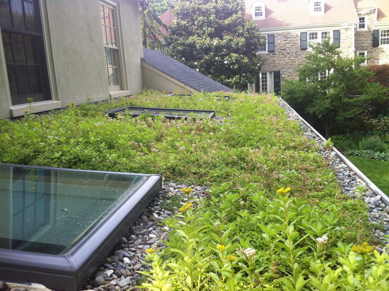 Vegetated Roofs