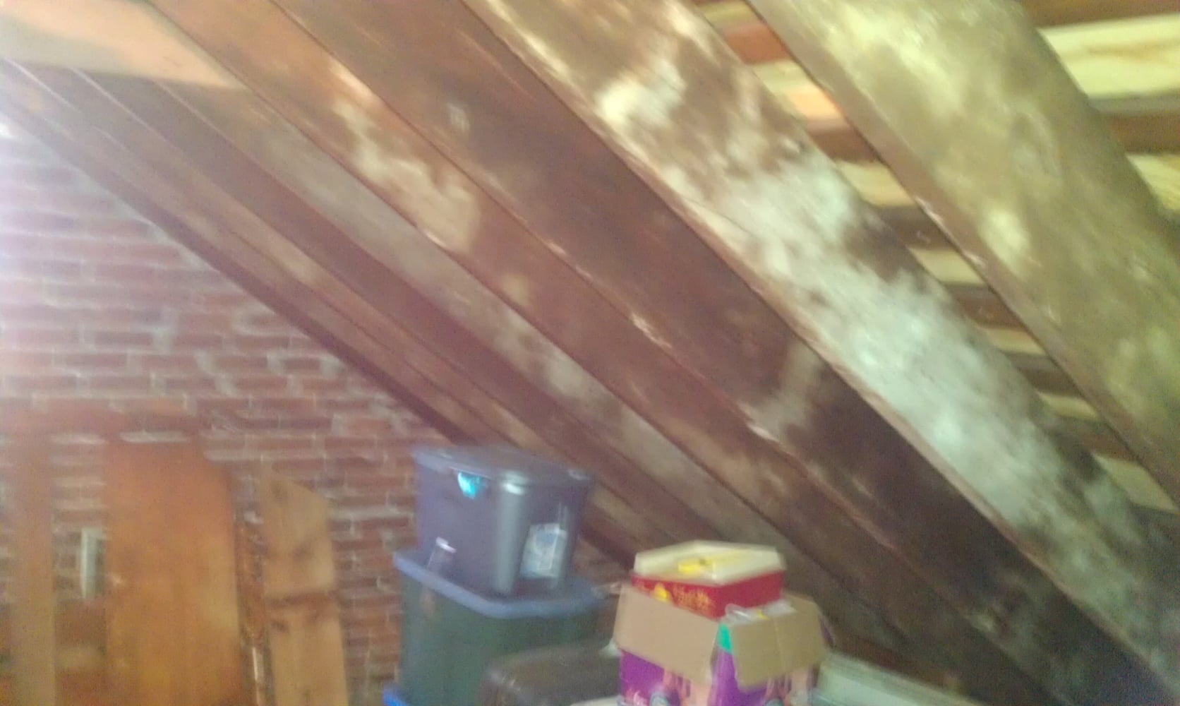 Project photos from Kauffman Property Services