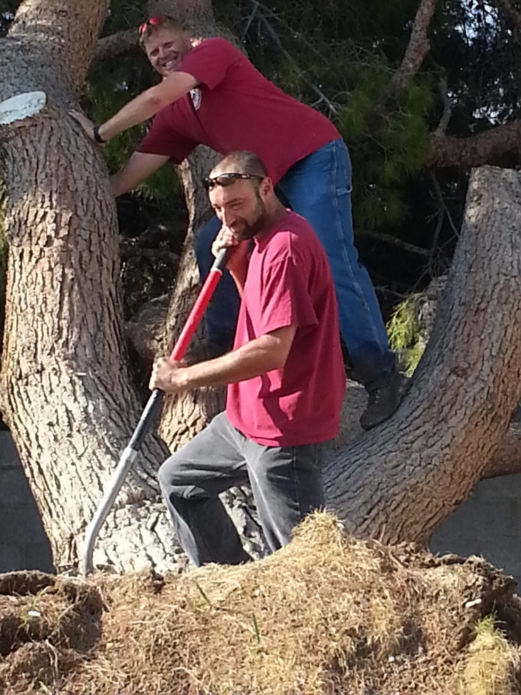 Emergency Main Line Repair