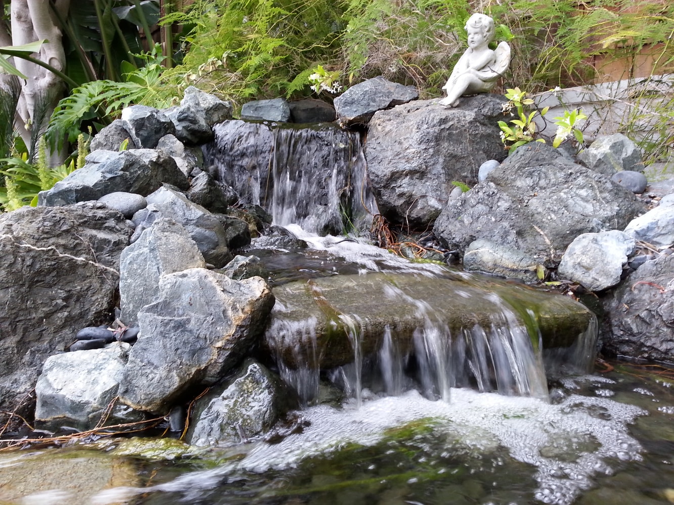 Landscaping in Malibu