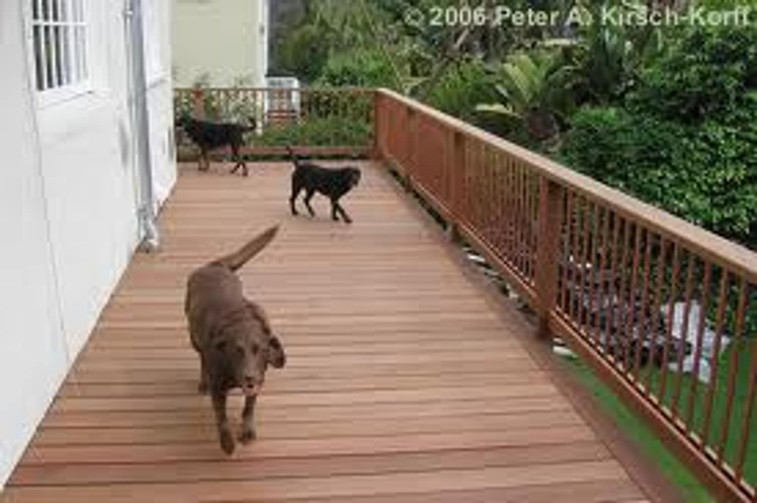 Photo(s) from Thomas's home Improvements