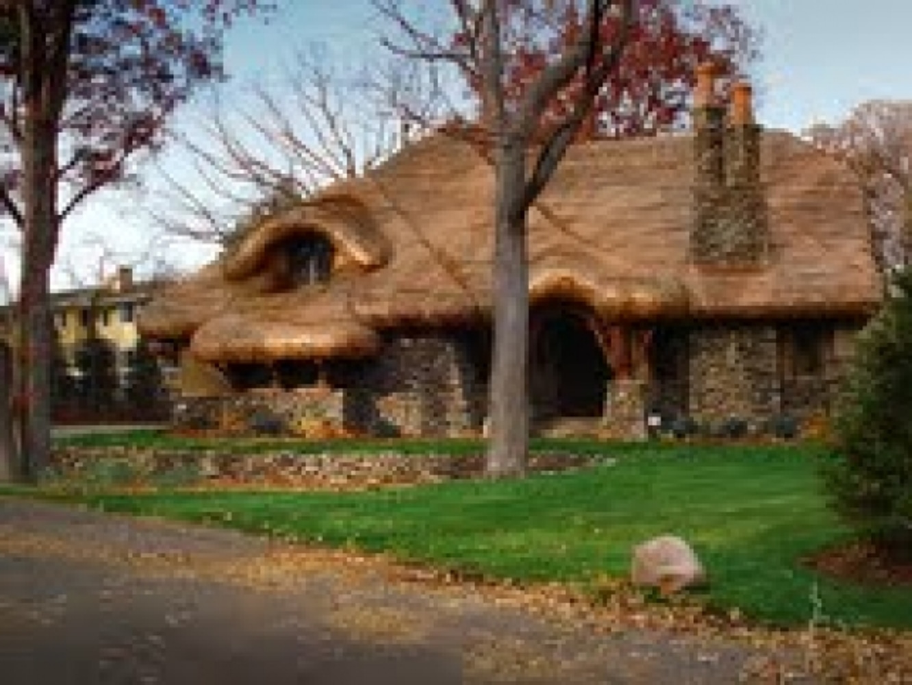 A Plus Roof Types,stills with exotic roofing products.