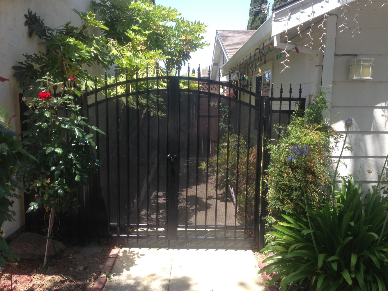 Ornamental iron fences. 