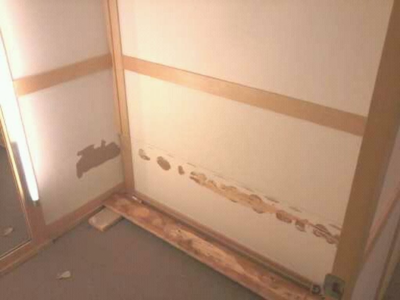 Painting Services of WI Project 1