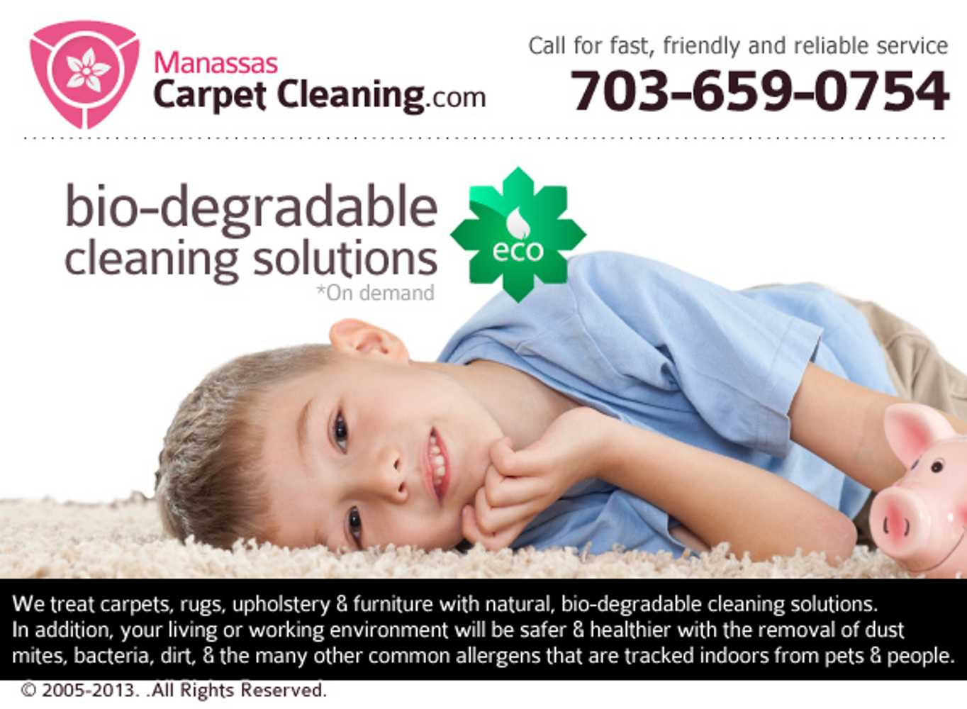 Manassas Carpet Cleaning Project