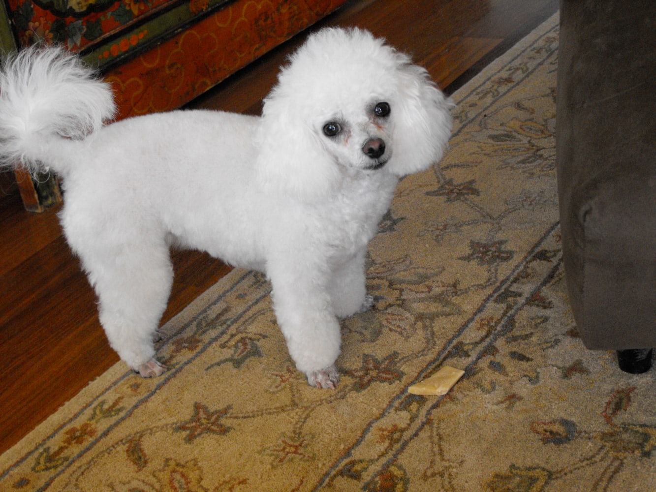 Construction Management Svc Of Sc Project 1